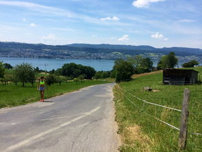 开云平台-“缆绳滑水:东桃花岛赛场呈现全新水上运动魅力” 第1张 开云平台-“缆绳滑水:东桃花岛赛场呈现全新水上运动魅力” 第1张