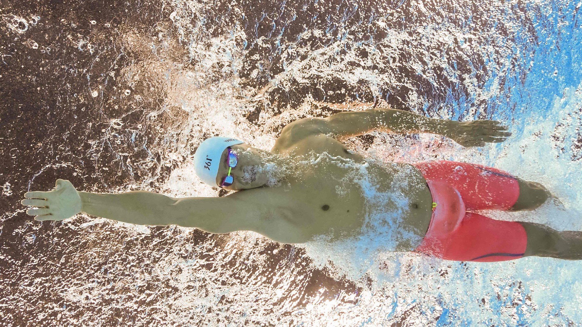 游泳赛事观众人数持续增长，游泳比赛数据